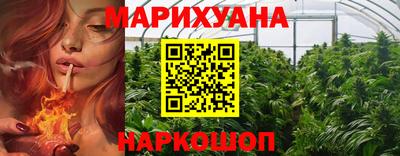 гашик Берёзовский