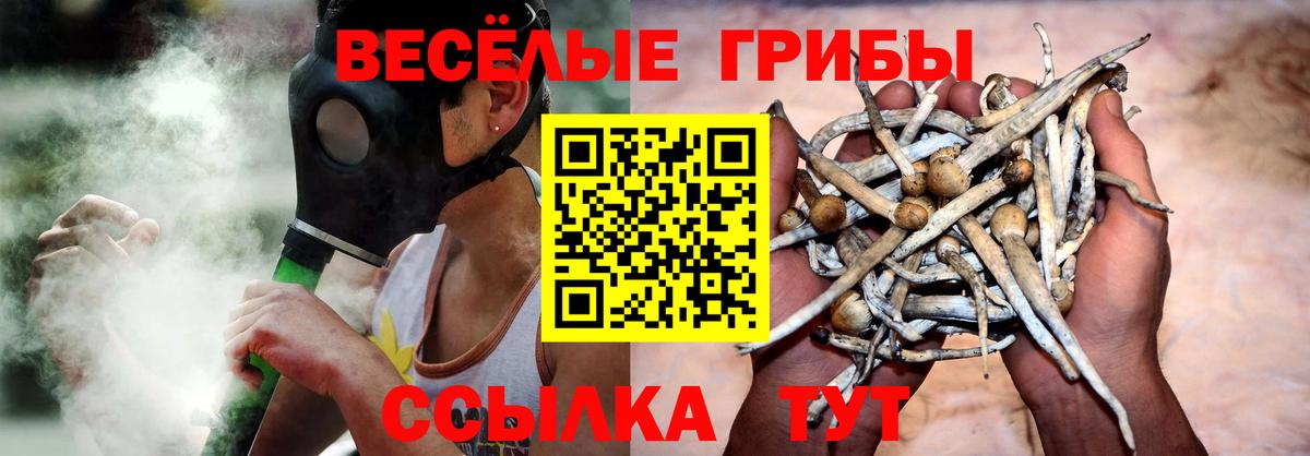 Псилоцибиновые грибы прущие грибы Кизилюрт